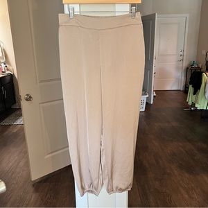 NWT Express high rise pants
